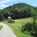 Ab der am Waldrand liegenden Illert-Kapelle geht es dann wieder aufwärts.