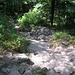 Der Abstieg an der Schlucht "Großes Loch" vorbei ist steil und steinig (deshalb habe ich die Tour mit T2 eingestuft).
