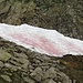 ....Anche qui, come in tante zone delle alpi,la neve in superfice presenta chiazze di color rosa, xkè?