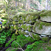 Eine Ruine im Wald dient als Orientierungspunkt