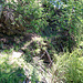 Ancien sentier Asp-Stellinu avec mur de soutènement.<br /><br />[https://api.geo.admin.ch/luftbilder/viewer.html?lang=fr&width=7000&layer=ch.swisstopo.lubis-terrestrische_aufnahmen&bildnummer=00000000351488&title=No+de+l%27image&rotation=0&datenherr=-&height=4639&x=3265.22&y=1110.98&zoom=6&contrast=false Photo de 1930]