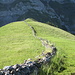 ...bis zum Ende der Mauer am Wandfuss