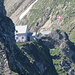 Tierwis im Zoom