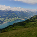 Blick auf den Walensee