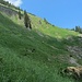 Der Steig hinauf zum Krumbacher Höhenweg