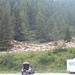 Bella sorpresa all'arrivo al parcheggio di Cheneil.