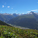 Blick von der verkrauteten Alp Üerlichergale in die Rotondo-Gegend