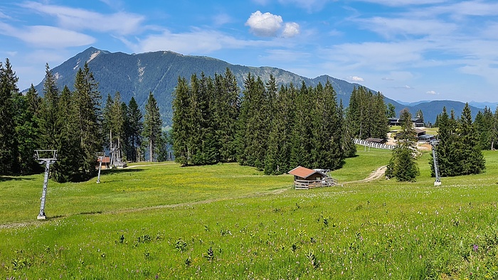 Trotz Skigebiet hat es am Hausberg schöne Wiesen - Fotos [hikr.org]