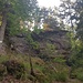 Saliere