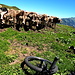 <b>Nella tratta successiva compio la ravanata più macroscopica del giorno: dopo una faticosa salitona di oltre un chilometro mi ritrovo su un pianoro sotto il Piz Mundaun, il Plaun d’Alp (1829 m), che corrisponde alla quota massima del tour.</b>