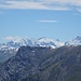 Blick vom Munt la Schera zu Palü, Bellavista, Zupo und Bernina