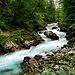 Am Beginn der Vintgar-Klamm