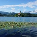 Bleder See mit Klosterinsel und Burg