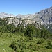 Alp Buffalora: Blick zum Piz Nair