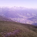 Blick nach Sterzing, dahinter Stubaier Alpen mit Pflerscher Tribulaun