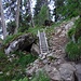 Der Weg vom Ochsenkar ist unschwierig, nur diese etwas steilere Stelle wird mit einer Leiter überwunden.
