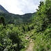 ...auf den Südhang in Richtung Seekarspitze.