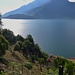 i giardini del Merlo...