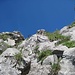hübsche Kletterei zum Paliis Niderei... oder Kettenweg ins Blaue