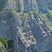 Noch vor dem gesicherten Aufstieg zum Paliis Nideri die Schibenstoll-Südwand im Zoom. Exakt der Felswand entlang, am oberen Ende des Grasbandes leitet der Schnüerliweg gegen Osten. Links im Bild der rein felsige, bestens gesicherte Abschnitt.