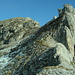 Gipfelaufschwung am Spitzhorn
