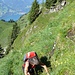 ein guter Pfad im steilen Gelände leitet unter die Brisisüdwand, ab und an ist Handeinsatz gefragt.