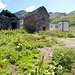 Alpe Poiala