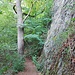 Auf dem "Hohentwieler", einem schönen Bergpfad zur Karlsbastion. Die meisten Wanderer kommen über den "Normalweg" von der Domäne her