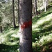 Der Weg ist durchgängig mit roten Pinselfahrern auf Bäumen und Steinen markiert.