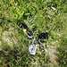 Und wie lautet die Story zu den beiden Socken?!?
