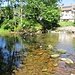 Zusammenfluss von Recht- und Rotmurg in Obertal