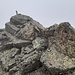 Das kleine Gipfelsteinmandl signalisiert die Ankunft am Torkopf.