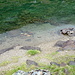 kleine Mäuerchen im Wasser