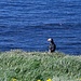 Einzelfotoshooting
