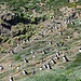 Die Papageitaucher sind hier recht menschenscheu. Man kommt hier maximal 20 Meter an die Vogelkolonie heran.