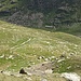 Tiefblick zur Alp Sovräna während dem Aufstieg.