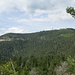 Blick vom Seensteig nach Nordwesten zur Hornisgrinde,