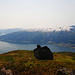 Balestrand