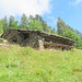 alpe poesio