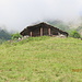 alpe le piane