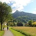 Rückweg