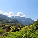 im Montafon