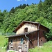 hinauf in den Wald