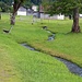 idyllischer Rückweg