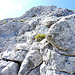 alla base del tratto roccioso finale