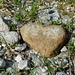 Ein Herz aus Stein