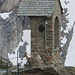stambecchi fuori dal rifugio