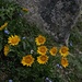 Bergfrühling