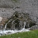 Wasser-Quellen am Ende des Geröllfeldes