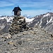 Auf dem Gipfel des Piz Minschun steht ein Nistkasten, der das Gipfelbuch enthält.